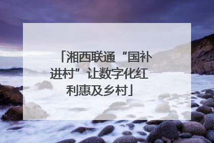湘西联通“国补进村”让数字化红利惠及乡村