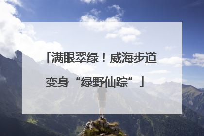 满眼翠绿！威海步道变身“绿野仙踪”