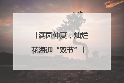满园仲夏，灿烂花海迎“双节”