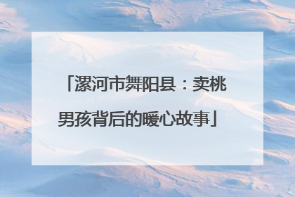 漯河市舞阳县：卖桃男孩背后的暖心故事