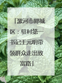 漯河市郾城区：驻村第一书记王元明带领群众走出致富路