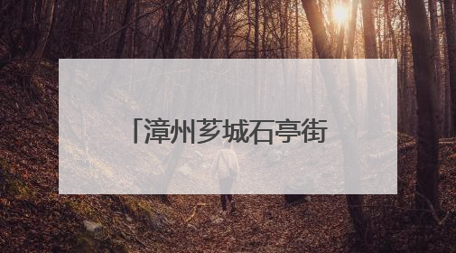 漳州芗城石亭街道：开展“童谣‘粽’动员，欢乐庆双节” 过端午，庆六一活动