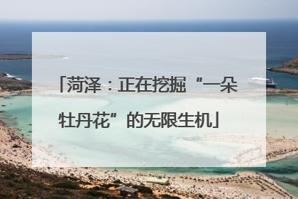 菏泽：正在挖掘“一朵牡丹花”的无限生机