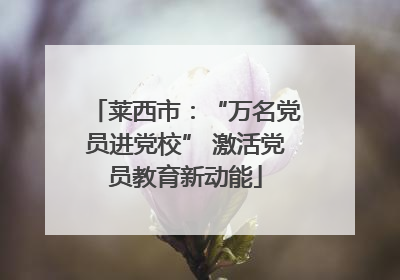 莱西市:“万名党员进党校” 激活党员教育新动能