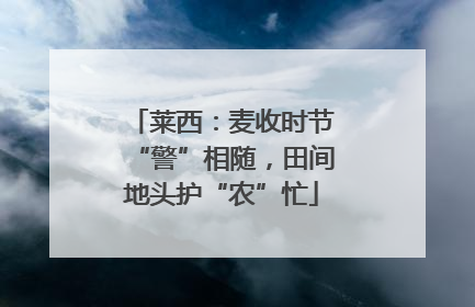 莱西：麦收时节“警”相随，田间地头护“农”忙