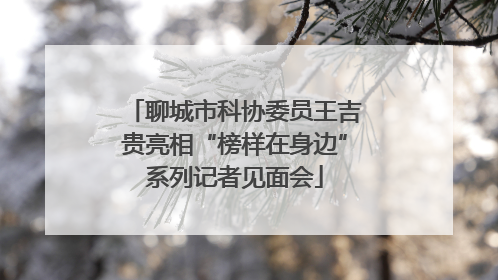 聊城市科协委员王吉贵亮相“榜样在身边”系列记者见面会
