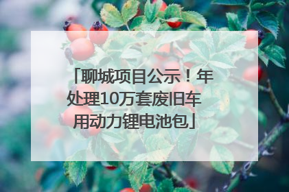 聊城项目公示！年处理10万套废旧车用动力锂电池包