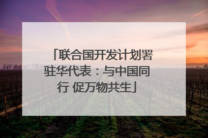 联合国开发计划署驻华代表：与中国同行 促万物共生