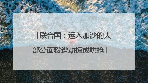 联合国：运入加沙的大部分面粉遭劫掠或哄抢