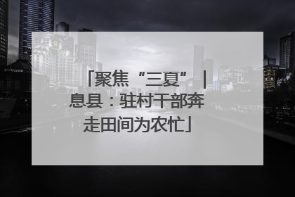 聚焦“三夏”｜息县：驻村干部奔走田间为农忙