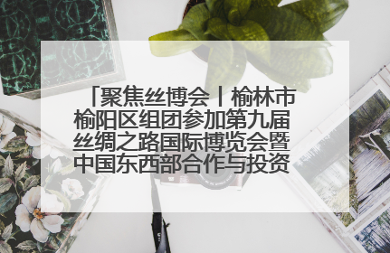 聚焦丝博会丨榆林市榆阳区组团参加第九届丝绸之路国际博览会暨中国东西部合作与投资贸易洽谈会