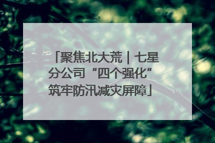 聚焦北大荒｜七星分公司“四个强化”筑牢防汛减灾屏障