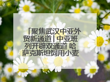 聚焦武汉中亚外贸新通道│中亚班列开辟双通道 哈萨克斯坦饲用小麦将抵鄂
