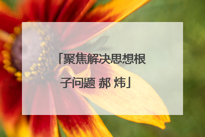 聚焦解决思想根子问题 郝 炜