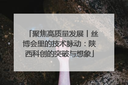 聚焦高质量发展丨丝博会里的技术脉动：陕西科创的突破与想象