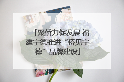 聚侨力促发展 福建宁德推进“侨见宁德”品牌建设