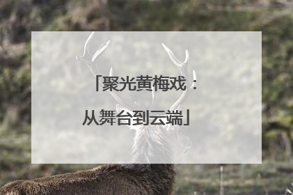 聚光黄梅戏：从舞台到云端