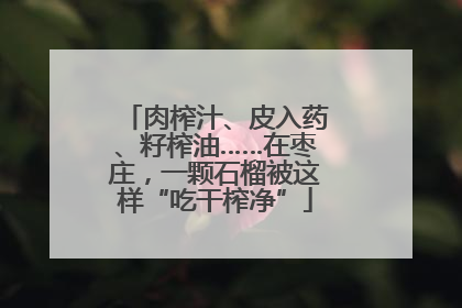 肉榨汁、皮入药、籽榨油……在枣庄，一颗石榴被这样“吃干榨净”