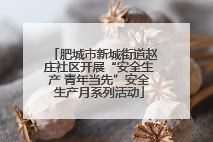 肥城市新城街道赵庄社区开展“安全生产 青年当先”安全生产月系列活动