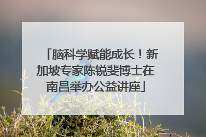 脑科学赋能成长！新加坡专家陈锐斐博士在南昌举办公益讲座