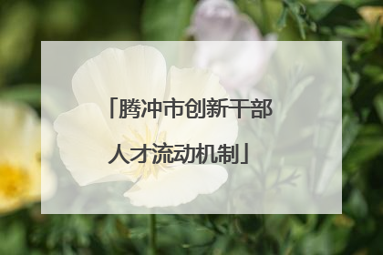 腾冲市创新干部人才流动机制