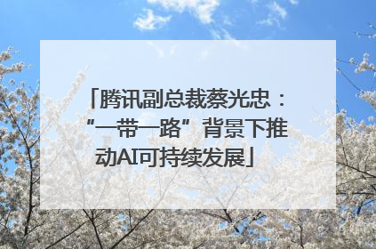 腾讯副总裁蔡光忠：“一带一路”背景下推动AI可持续发展