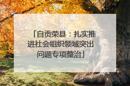 自贡荣县：扎实推进社会组织领域突出问题专项整治