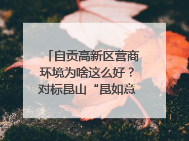 自贡高新区营商环境为啥这么好？对标昆山“昆如意”打造自贡“高兴办”｜美好生活有“盐”味