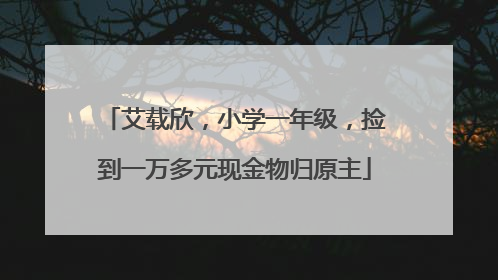 艾载欣，小学一年级，捡到一万多元现金物归原主