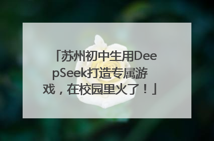 苏州初中生用DeepSeek打造专属游戏，在校园里火了！