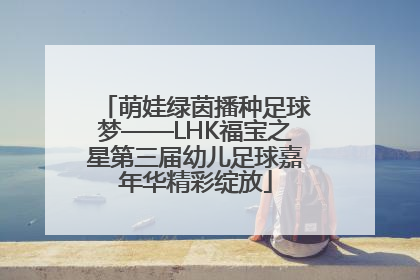 萌娃绿茵播种足球梦——LHK福宝之星第三届幼儿足球嘉年华精彩绽放