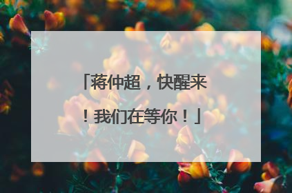 蒋仲超，快醒来！我们在等你！