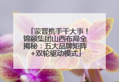 蒙晋携手干大事！锦颐集团山西布局全揭秘：五大品牌矩阵+双轮驱动模式
