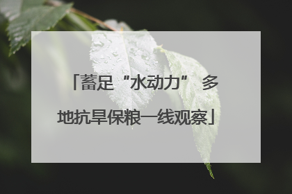蓄足“水动力” 多地抗旱保粮一线观察