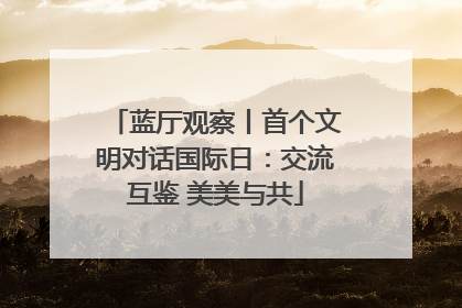 蓝厅观察丨首个文明对话国际日：交流互鉴 美美与共