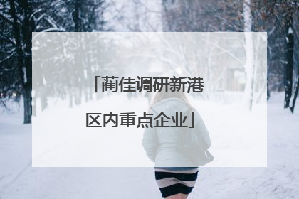 蔺佳调研新港区内重点企业