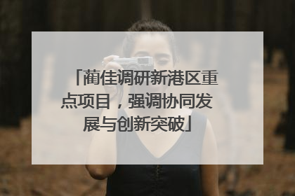 蔺佳调研新港区重点项目，强调协同发展与创新突破