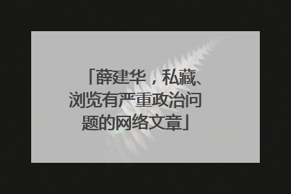 薛建华，私藏、浏览有严重政治问题的网络文章