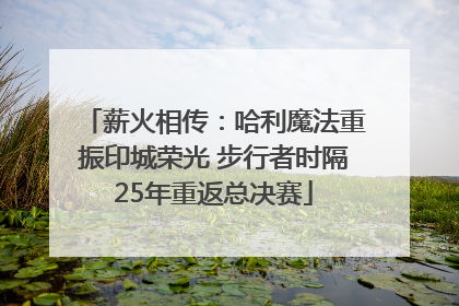 薪火相传：哈利魔法重振印城荣光 步行者时隔25年重返总决赛