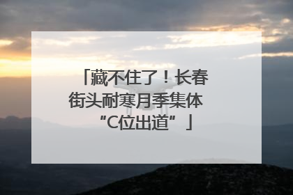 藏不住了！长春街头耐寒月季集体“C位出道”
