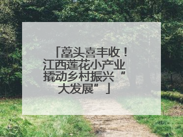 藠头喜丰收！江西莲花小产业撬动乡村振兴“大发展”