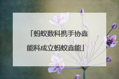 蚂蚁数科携手协鑫能科成立蚂蚁鑫能