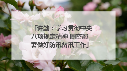 许勤：学习贯彻中央八项规定精神 周密部署做好防汛备汛工作