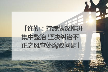 许勤：持续纵深推进集中整治 坚决纠治不正之风查处腐败问题