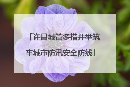 许昌城管多措并举筑牢城市防汛安全防线