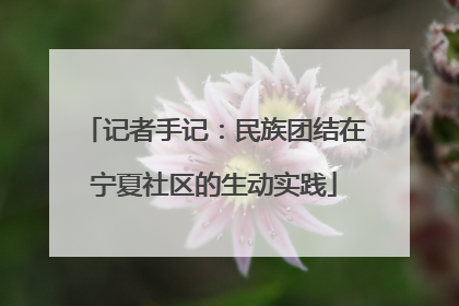 记者手记：民族团结在宁夏社区的生动实践