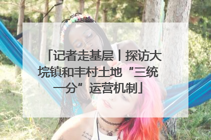 记者走基层丨探访大垸镇和丰村土地“三统一分”运营机制