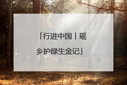 行进中国丨瑶乡护绿生金记