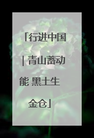 行进中国｜青山蓄动能 黑土生金仓