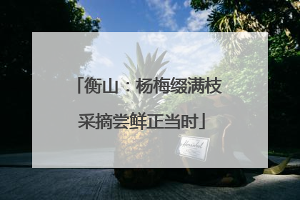 衡山：杨梅缀满枝 采摘尝鲜正当时